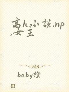 高h小说,np,女主