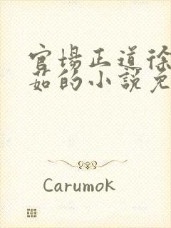 官场正道徐浪郑茹的小说免费阅读无弹窗封面