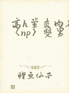 高h荤爽肉欲文〈np〉双男