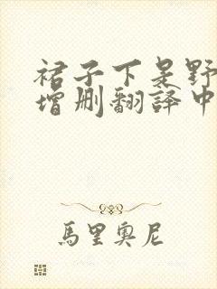 裙子下是野兽未增删翻译中文翻译英文樱花