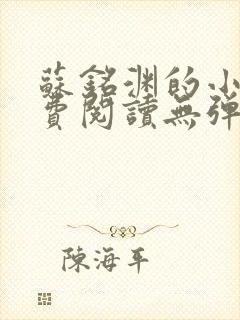 苏铭渊的小说免费阅读无弹窗