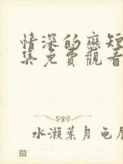 情深的恋短剧全集免费观看封面