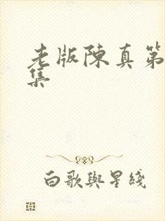 老版陈真第30集