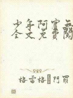 少年阿宾无删减全文免费阅读笔趣阁