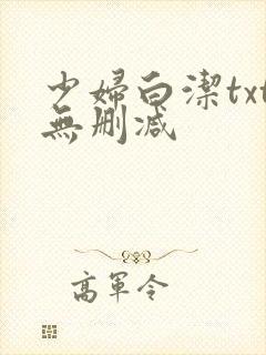 少妇白洁txt无删减