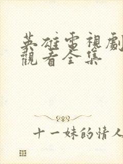 英雄电视剧免费观看全集