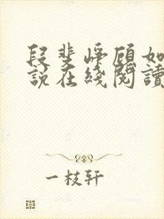 段斐峥顾如锦小说在线阅读