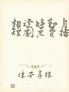 相逢时节月正圆短剧免费播放封面