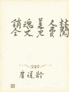 销魂美人林婷婉全文免费阅读小说