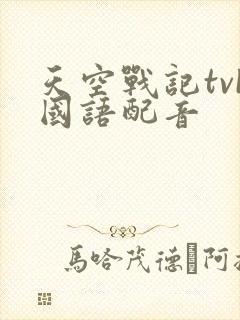 天空战记tvb国语配音