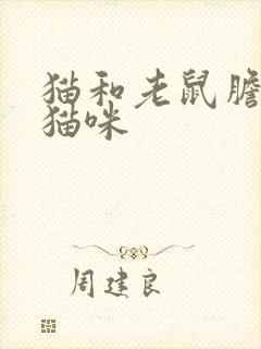 猫和老鼠胆小的猫咪