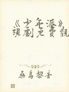 《少年派》1电视剧免费观看全集