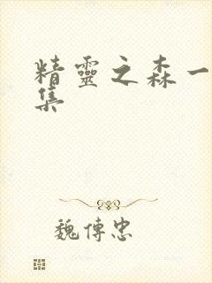 精灵之森一到四集封面