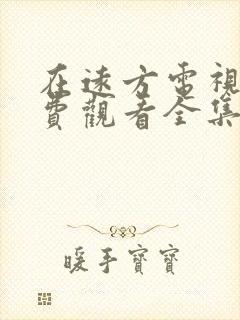 在远方电视剧免费观看全集