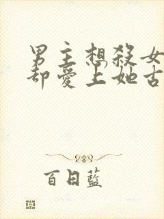 男主想杀女主但却爱上她古言