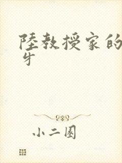 陆教授家的小月牙