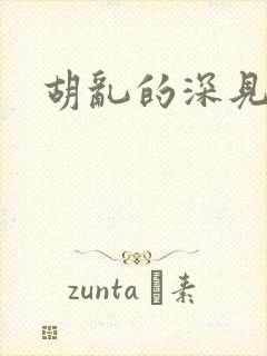 胡乱的深见君2封面