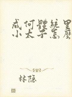 成何体统里面的小太子怎么来的封面