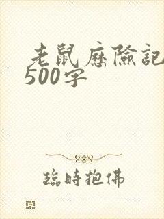 老鼠历险记作文500字封面