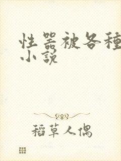 性器被各种玩弄小说封面
