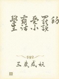 学霸受罚的日常生活小说