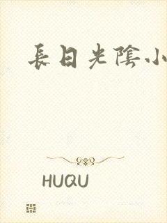 长日光阴小说