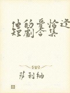 他的爱恰逢其时短剧合集封面