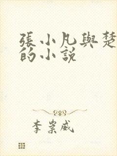 张小凡与楚清璇的小说