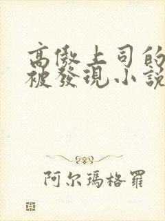 高傲上司的秘密被发现小说免费阅读