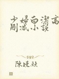 少妇白洁高义无删减小说