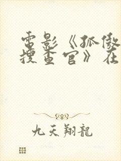 电影《孤傲的女搜查官》在线观看