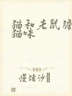 猫和老鼠胆小的猫咪