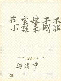 我家娘子不对劲小说未删版全集