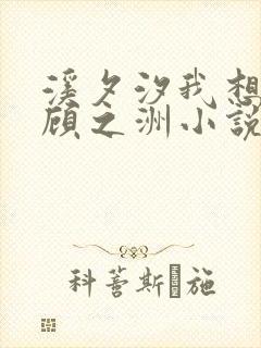 溪夕汐我想陶软顾之洲小说