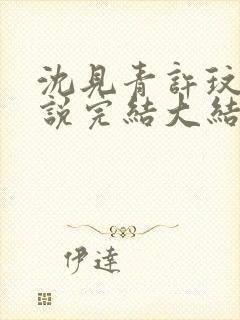 沈见青许玟玟小说完结大结局了吗