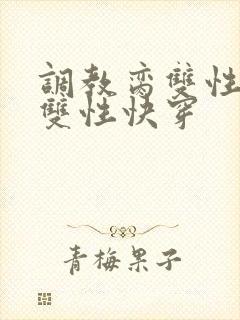 调教脔双性美人双性快穿