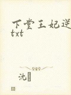 下堂王妃逆袭记txt