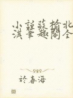 小说苏榆北高梓淇笔趣阁全文