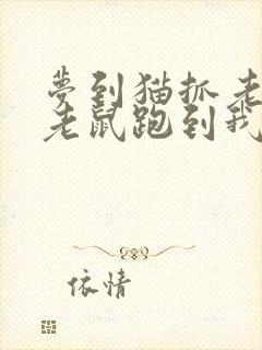 梦到猫抓老鼠,老鼠跑到我身上