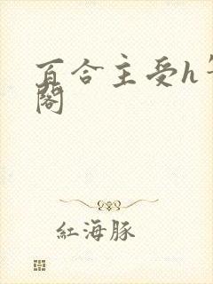 百合主受h笔趣阁