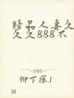 精品人妻久久久久久888不