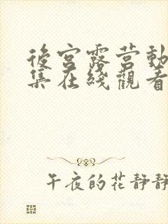 后宫露营动漫全集在线观看