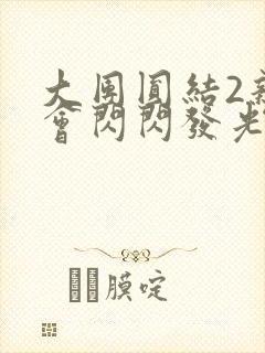 大团圆结2亲情会闪闪发光亲情会2封面