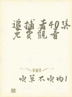 追捕者40集全免费观看