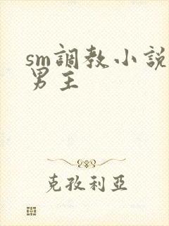 sm调教小说双男主