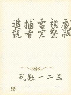 追捕电视剧在线观看完整版免费