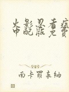 火影忍者疾风传中配版免费观看全集封面