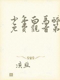 少年白马醉春风免费观看第16集封面