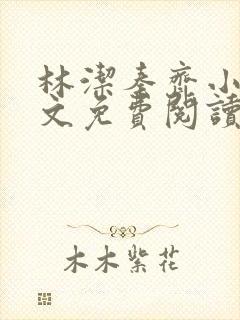 林洁秦齐小说全文免费阅读最新章节