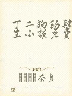 丁二狗的肆意人生小说免费1